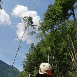 Mann und Baum