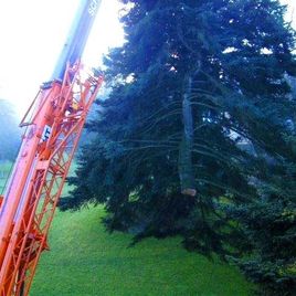 grüner Baum vor rotem Gerät